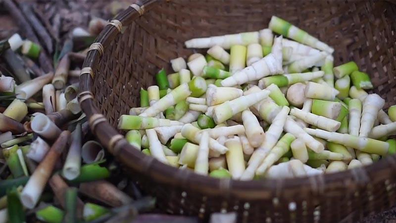 Cách chọn măng chua vàng ươm không hóa chất để thực hiện cách nấu vịt nấu măng chua