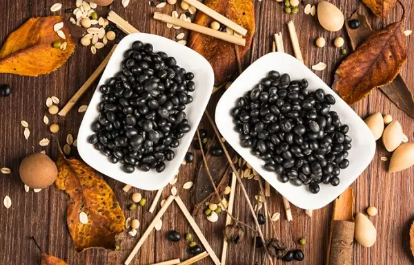 Tại sao đậu đen và yến mạch lại có thể giảm được cân?