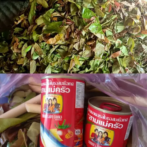 cách nấu đọt mây lá nhíp