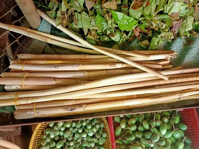 cách nấu đọt mây lá nhíp