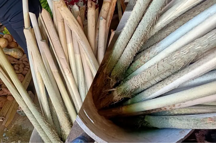 cách nấu đọt mây lá nhíp