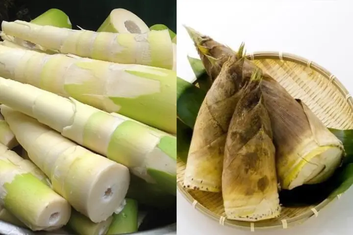 3. Một vài lưu ý lúc nấu món măng chay 3. Một vài lưu ý lúc nấu món măng chay