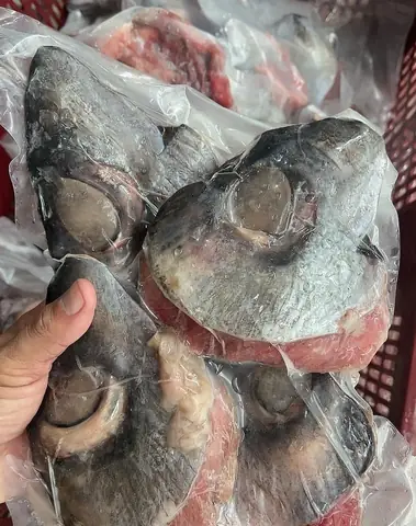 Mắt cá ngừ đại dương Hà Nội Mắt cá ngừ đại dương Hà Nội