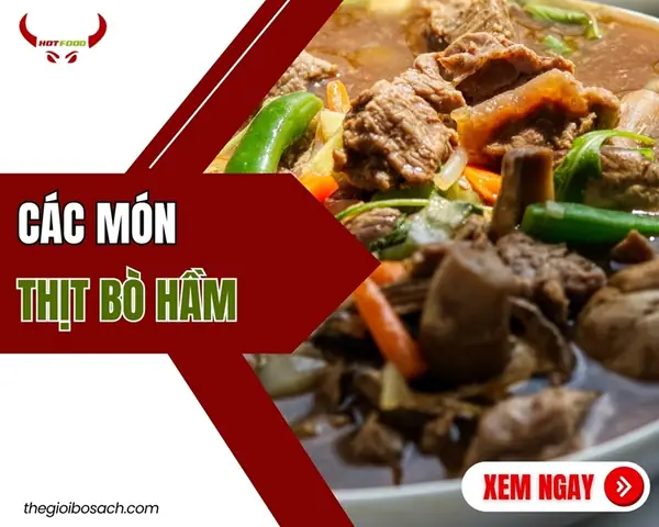 Các món thịt bò hầm