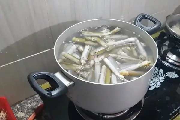 Luộc sơ ốc móng tay Luộc sơ ốc móng tay