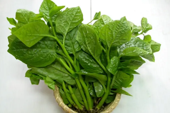 (Cho 4 người ăn)