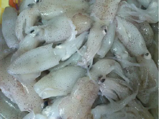 Má»±c xà o hà nh tây ÄÆ¡n giản mà tinh tế ngon hấp dẫn Má»±c xà o hà nh tây ÄÆ¡n giản mà tinh tế ngon hấp dẫn