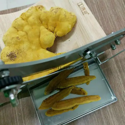 nấm thượng hoàng có hỗ trợ thái lát nấm thượng hoàng có hỗ trợ thái lát