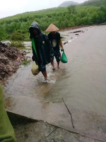 cách nấu nấm tràm xào rau muống