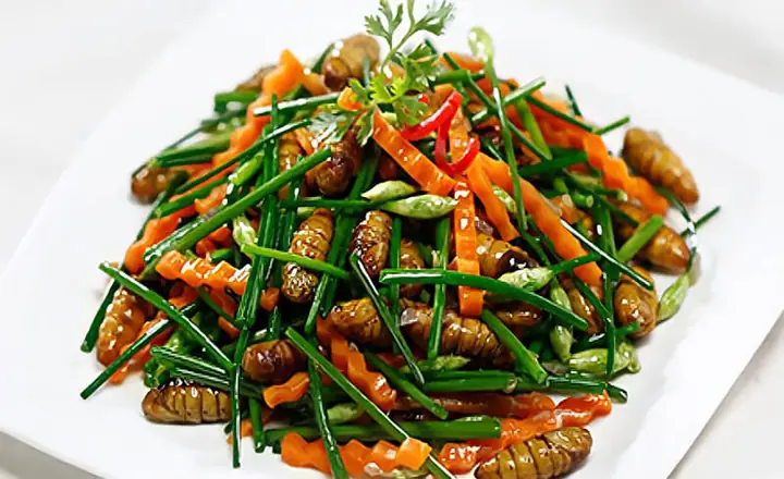 Cách Nấu Nhộng Tằm Ngon: Hướng Dẫn Chi Tiết Và Mẹo Hay Cách Nấu Nhộng Tằm Ngon: Hướng Dẫn Chi Tiết Và Mẹo Hay