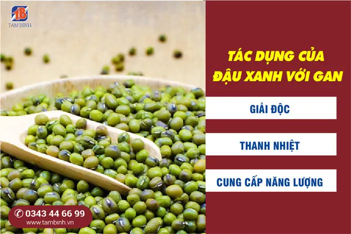 1. Tác dụng giải độc gan của đậu xanh 1. Tác dụng giải độc gan của đậu xanh
