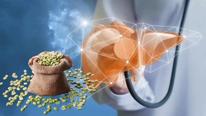 2Đậu xanh có giải độc gan không? 2Đậu xanh có giải độc gan không?