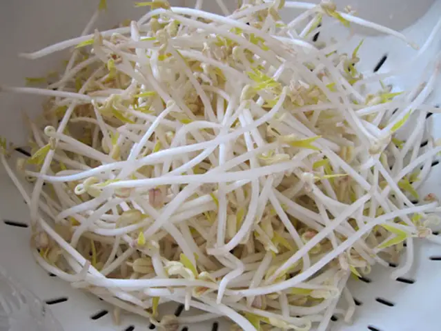 Nguyên nhân gây bệnh