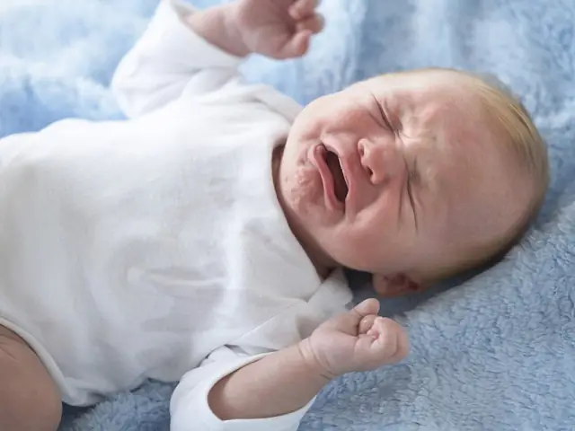 1. Lợi ích tuyệt vời khi tắm lá khổ qua rừng