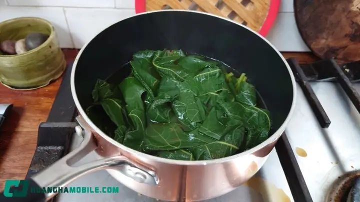 Cách nấu nước lá sung tươi