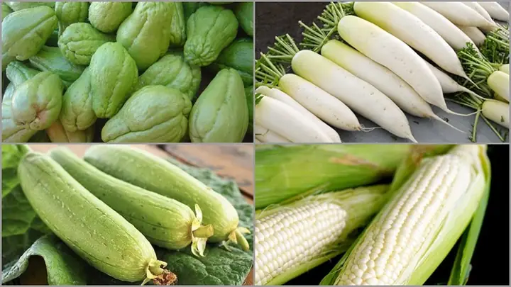 Cách chọn mua nguyên liệu tươi ngon