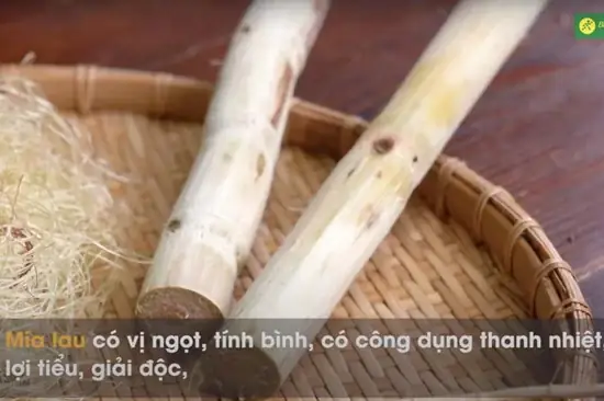 Công dụng của mía lau Công dụng của mía lau