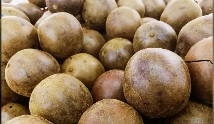 5. Bí quyết chọn mua nguyên liệu tươi ngon 5. Bí quyết chọn mua nguyên liệu tươi ngon