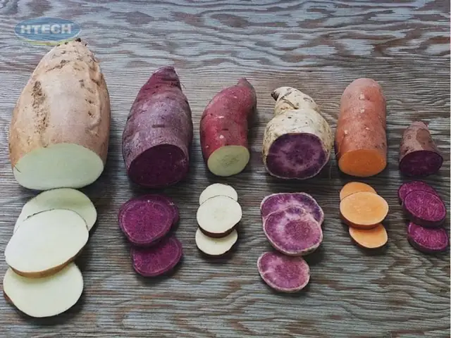 2. Nguyên liệu nấu chè khoai lang nước cốt dừa 4 màu 2. Nguyên liệu nấu chè khoai lang nước cốt dừa 4 màu