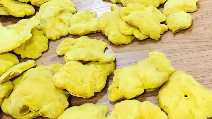 1Giới thiệu về nấm thượng hoàng