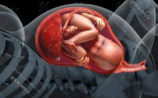 Nước ối và vai trò của nước ối đối với thai nhi