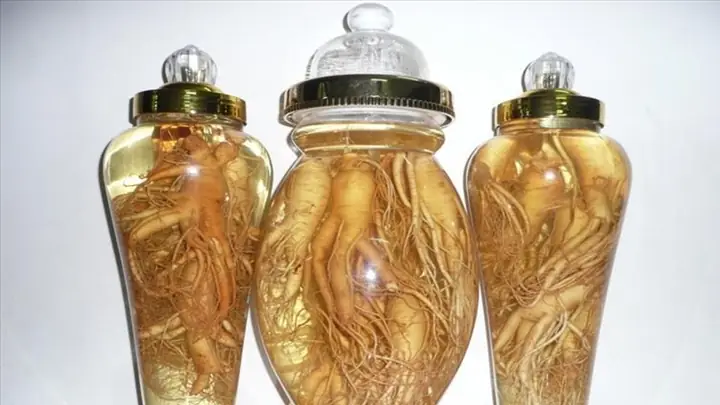 3Ngâm rượu nhân sâm 3Ngâm rượu nhân sâm