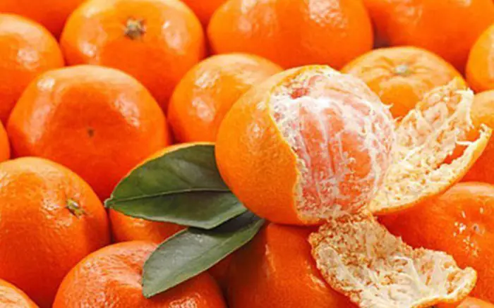 Những lợi ích từ vỏ quýt bạn không nên bỏ qua Những lợi ích từ vỏ quýt bạn không nên bỏ qua