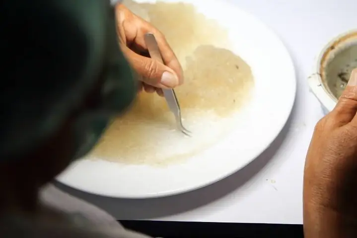 4Cách sơ chế yến sào