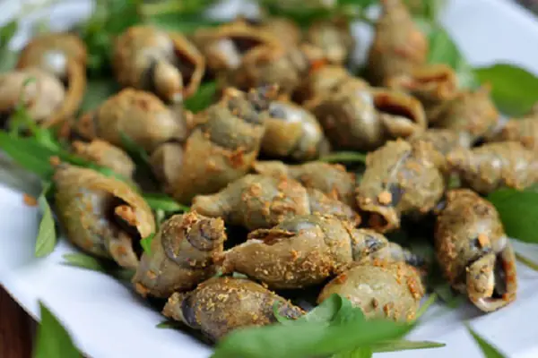 Hướng dẫn cách nấu ốc cà na ngon chuẩn vị tại nhà