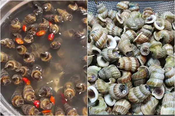 Sơ chế ốc và các nguyên liệu khác