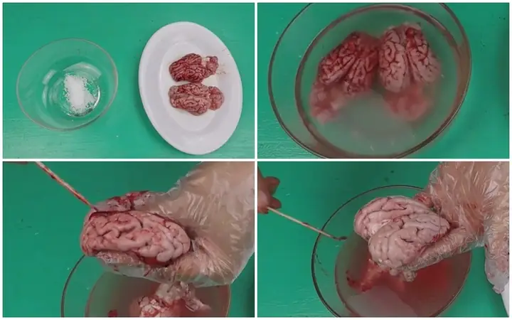 Bước 1: Chuẩn bị nguyên liệu