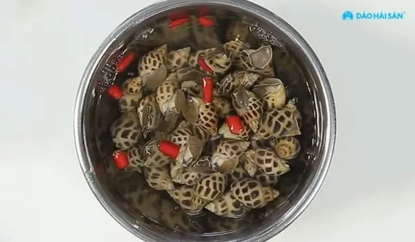 Bí quyết chọn và sơ chế ốc hương chuẩn