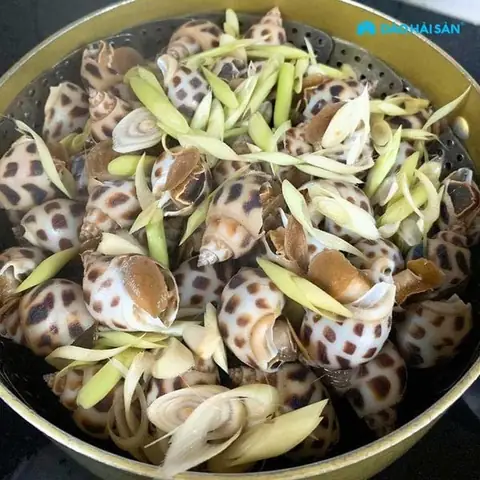 Cách làm ốc hương hấp sả chấm mắm gừng ngon không bị keo