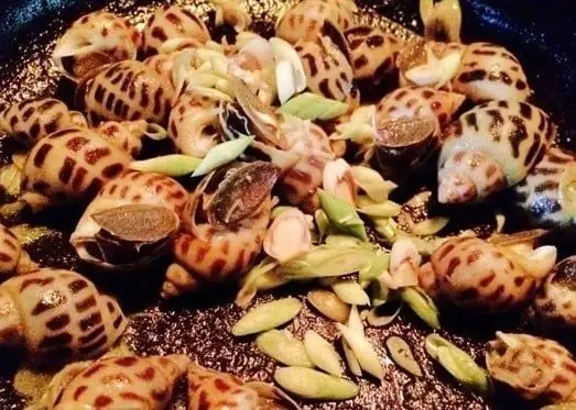 Cách chế biến món ốc hương xào sả ớt đậm vị cay: Cách chế biến món ốc hương xào sả ớt đậm vị cay: