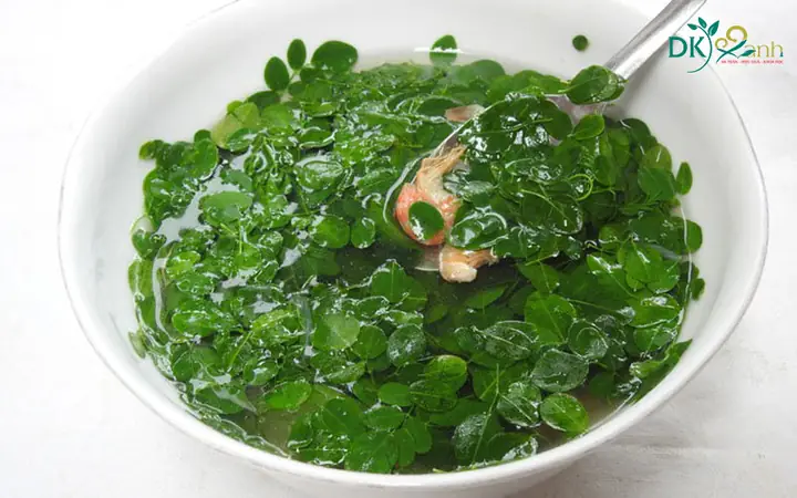 3. Và tác dụng lợi sữa - làm đẹp khiến cả thế giới phải tan chảy 3. Và tác dụng lợi sữa - làm đẹp khiến cả thế giới phải tan chảy