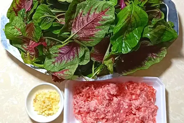 Nguyên liệu Nguyên liệu