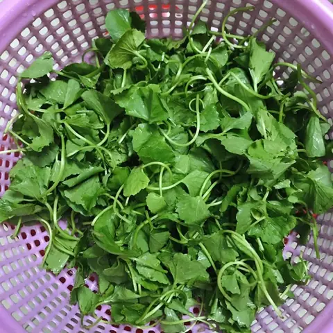 Sơ chế nguyên liệu Sơ chế nguyên liệu