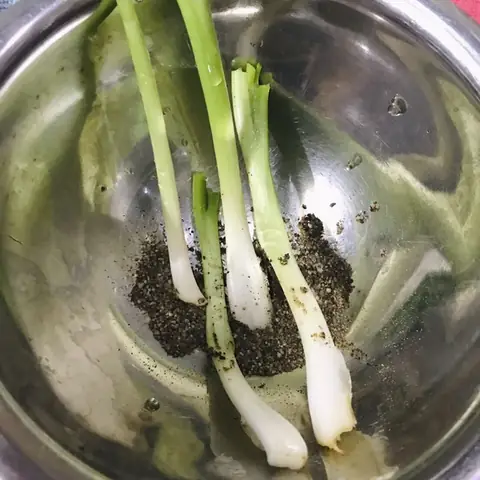 Sơ chế nguyên liệu Sơ chế nguyên liệu