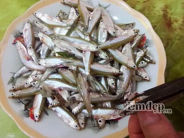 Cách làm canh dưa sắn nấu tép như sau: