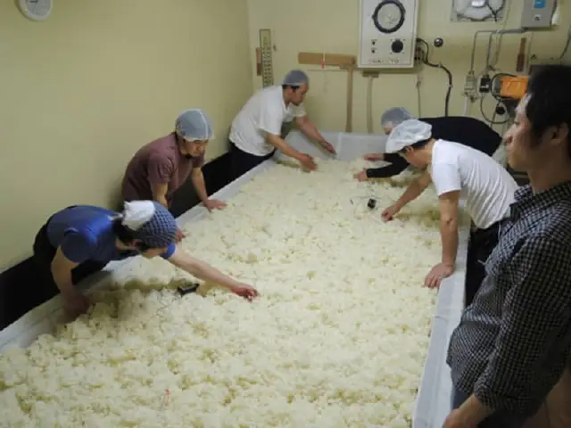 cách nấu rượu gạo công nghiệp