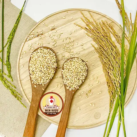 Loại gạo nào nấu rượu truyền thống ngon nhất?