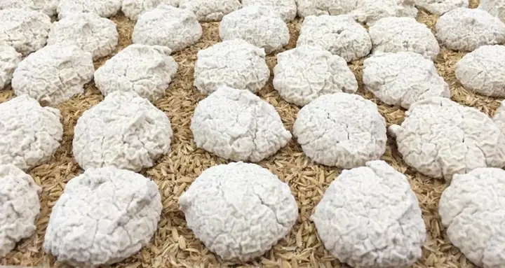 Men thuốc Bắc tạo ra loại rượu an toàn cho sức khỏe