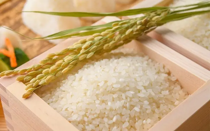 Dùng gạo nếp có mùi thơm để chưng cất loại rượu thơm ngon hơn