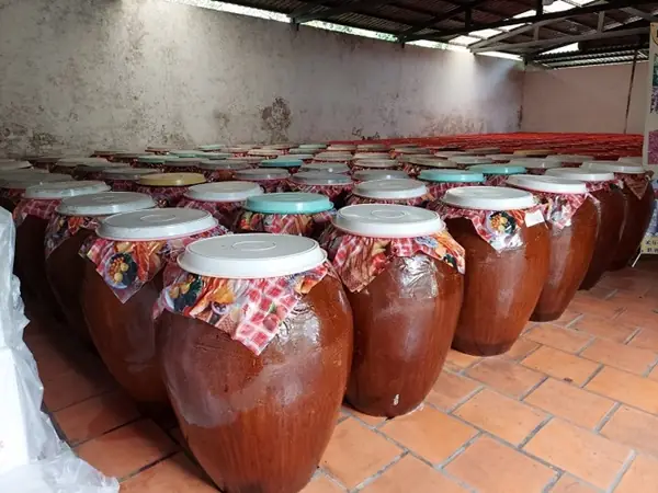 Bước 5: Lọc rượu và ủ rượu