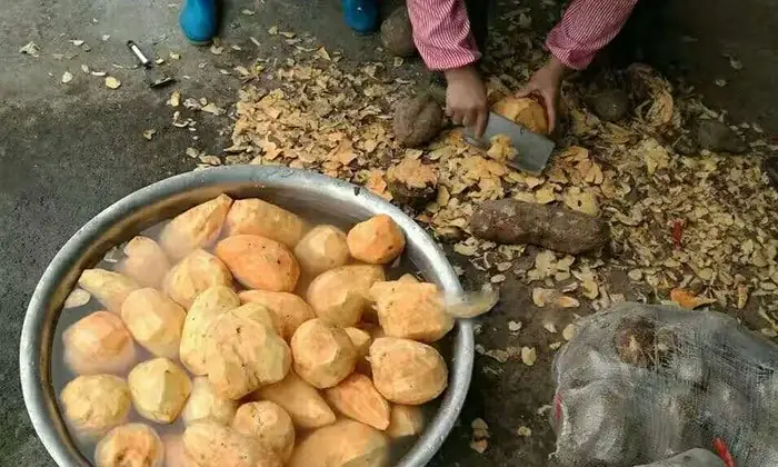 Bước 1: Chuẩn bị khoai lang