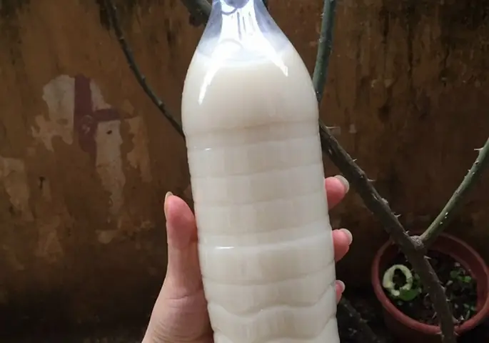 rượu nếp đục