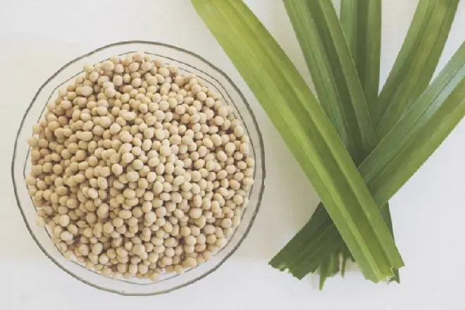 Cách nấu sữa đậu nành không bỏ xác thơm ngon, giàu dưỡng chất