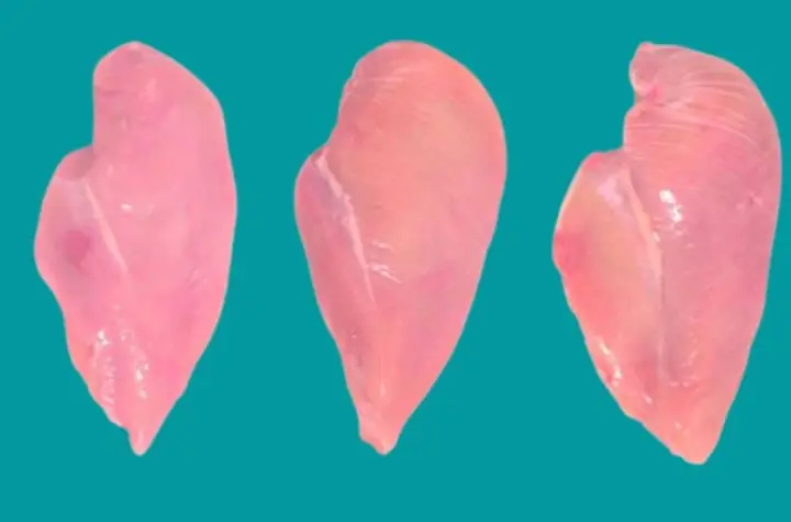 Cách chọn thịt gà Cách chọn thịt gà