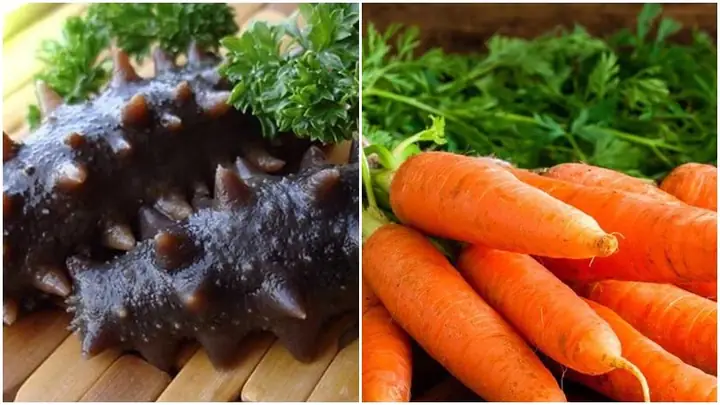 1Nguyên liệu làm món súp hải sâm