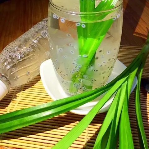 Nha đam đường phèn hạt chia